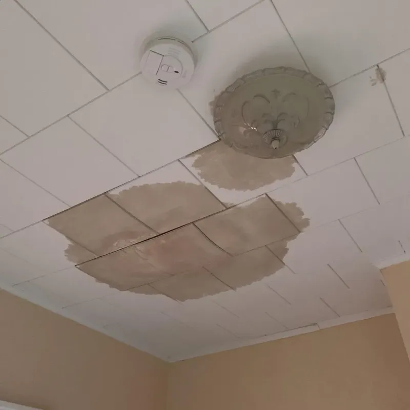 Ceiling Water Damage Repair in Plattsburgh West, NY
