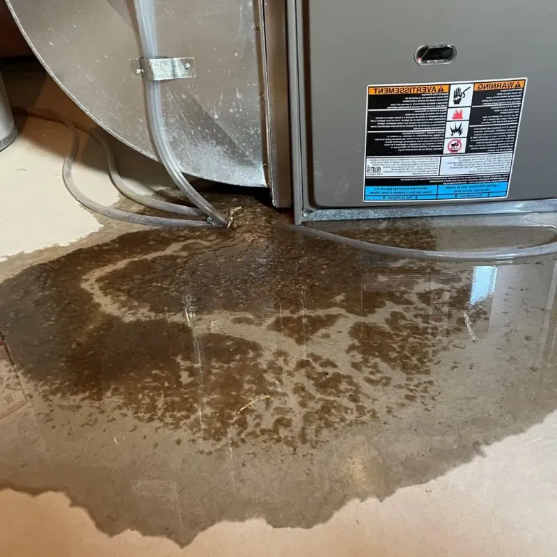 Pipe Burst and Leak Restoration in Plattsburgh West, NY